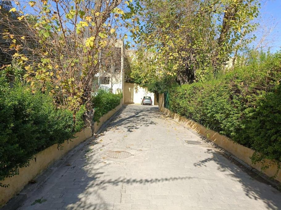 Youssef Fez Kültér fotó